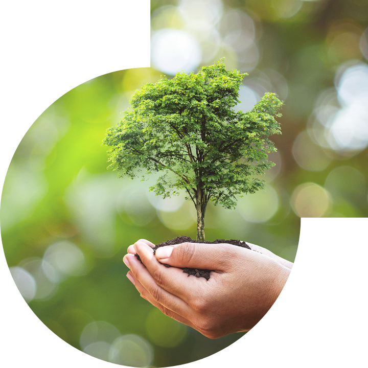 关怀人类、文化、环境与社会